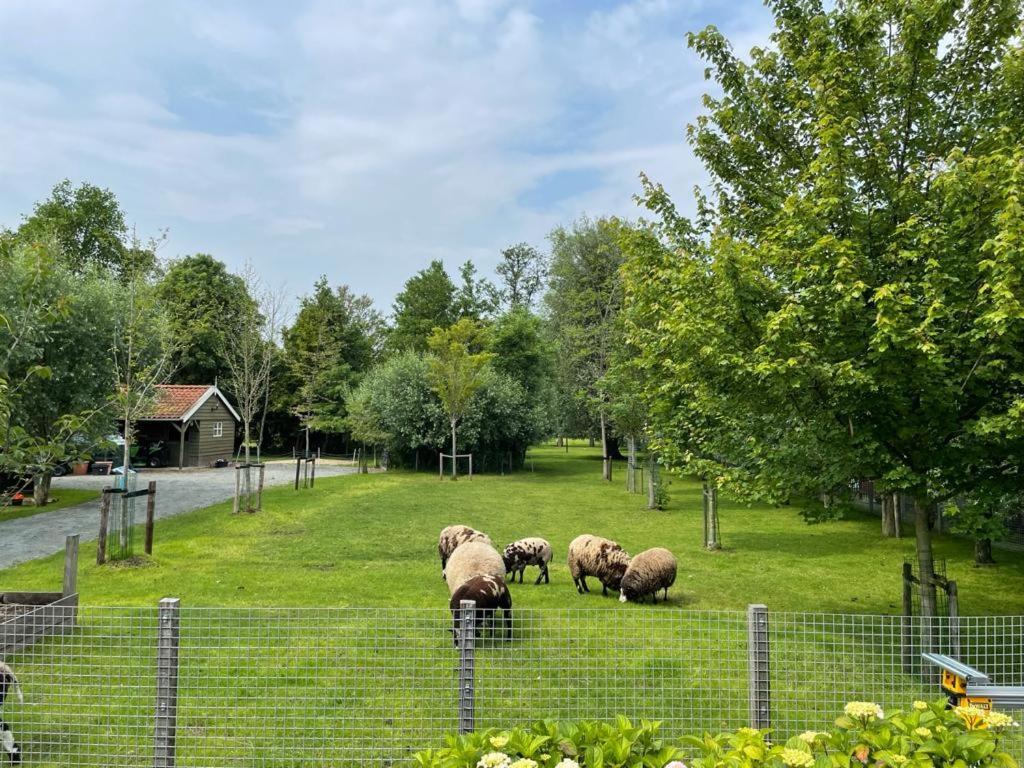 Flora'S B&B Landsmeer ภายนอก รูปภาพ