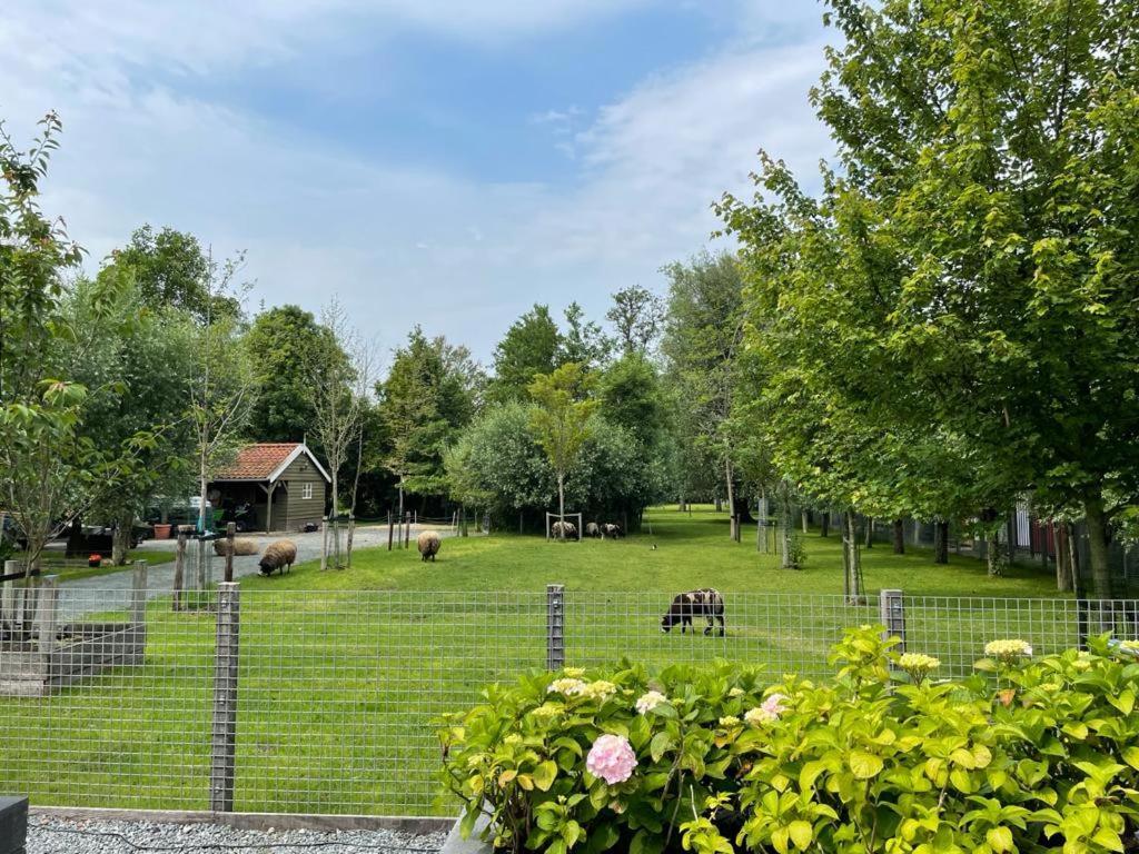 Flora'S B&B Landsmeer ภายนอก รูปภาพ